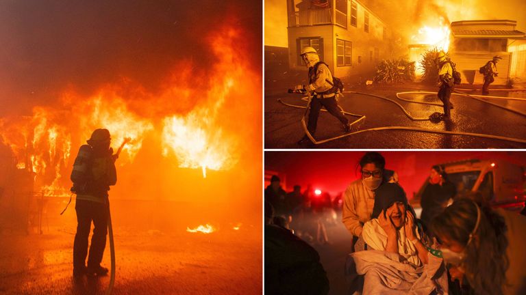 提供了宝贵 提供了宝贵